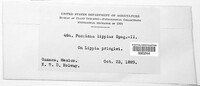 Image Associated With the Occurence